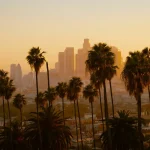 Image of palm trees with a city skyline of tall buildings in the background