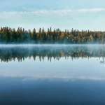 Trees next to a lake with mist rising off of it
