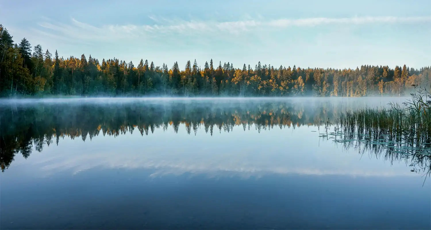 Trees next to a lake with mist rising off of it