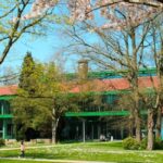 Image of a brick building with green accents on it, with pink blossom trees in the foreground and a bright blue sky in the background