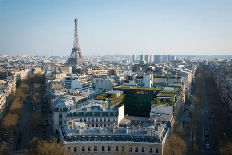 Aerial view of Paris with the Eiffel tower and classical architecture