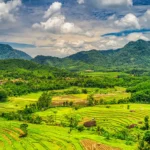 Vivid green fields in the foreground and hills in the background