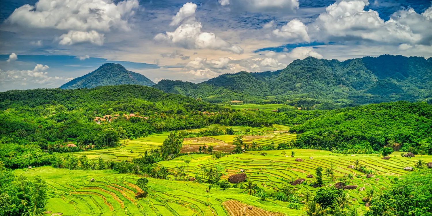 Vivid green fields in the foreground and hills in the background