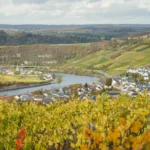 Image of green fields and a river at the bottom of a valley