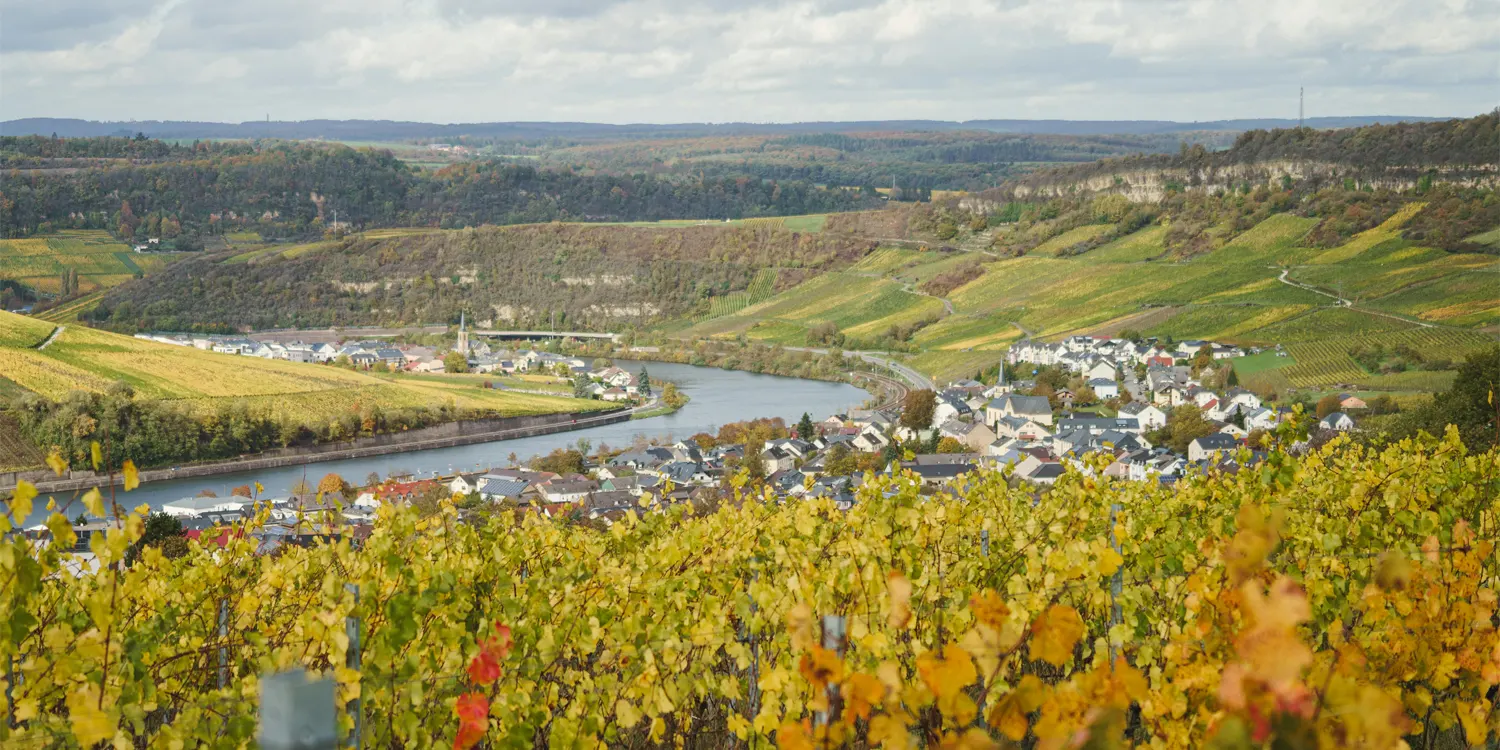 Image of green fields and a river at the bottom of a valley