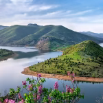Blossoming flowers and a river flowing around mountains