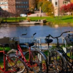 Image of several bikes leaning against each other, with a body of water in the background