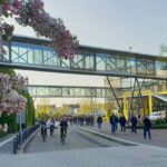 Image of a glass walkway over a path, with pink flowers blooming on the left hand side of the frame